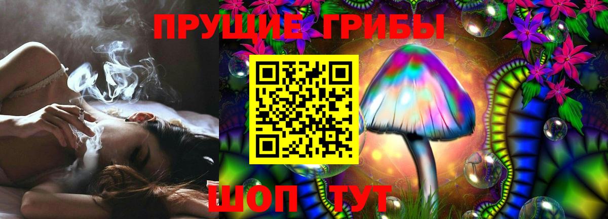 Галлюциногенные грибы MAGIC MUSHROOMS  Вход с VPN  Урус-Мартан 